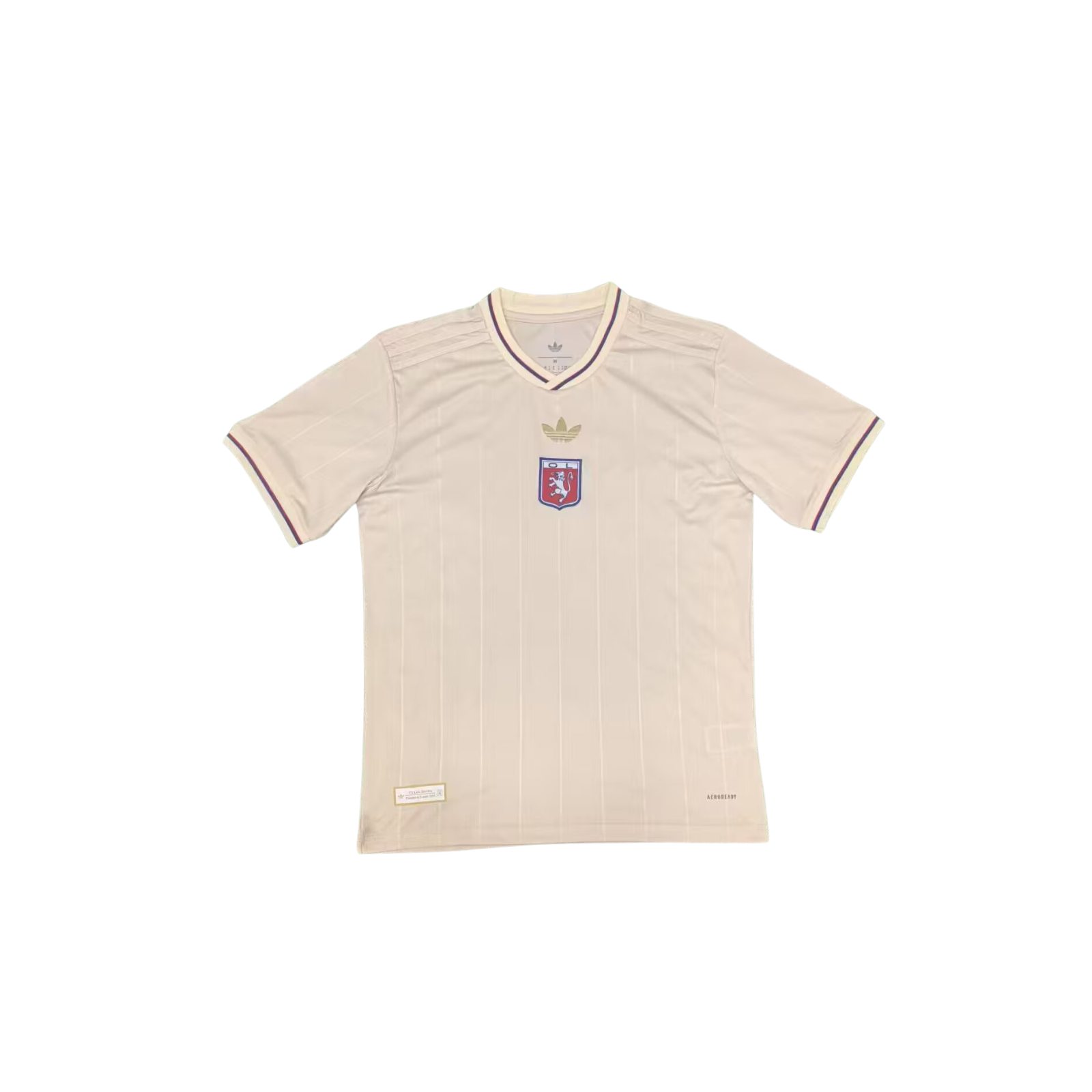 Maglia Lione Edizione Anniversario 2025/26